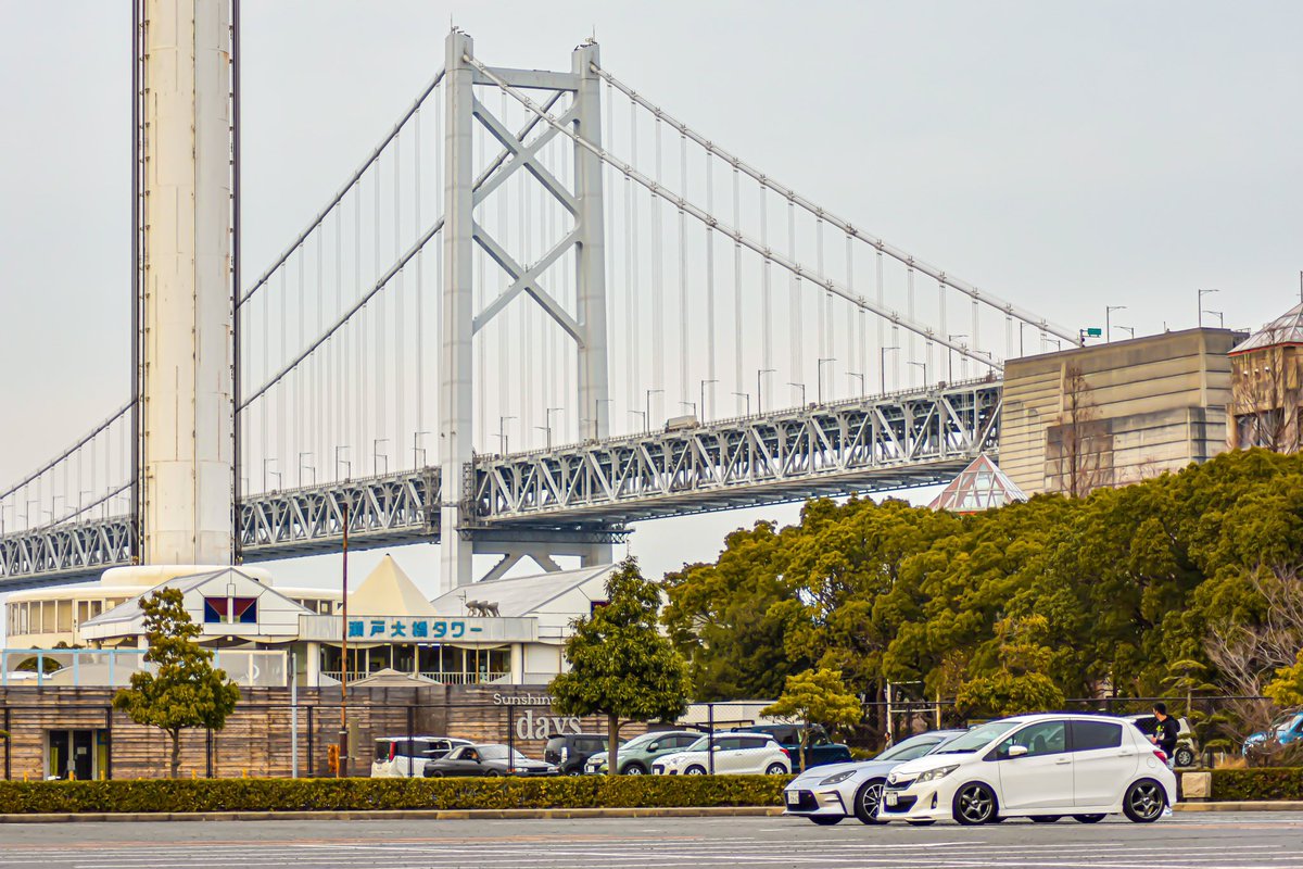 HiroVitz131's tweet image. 久々のカメ活📷
4枚目お気に入り☺️

#Vitz
#GR86
#カメ活
#NikonD3400