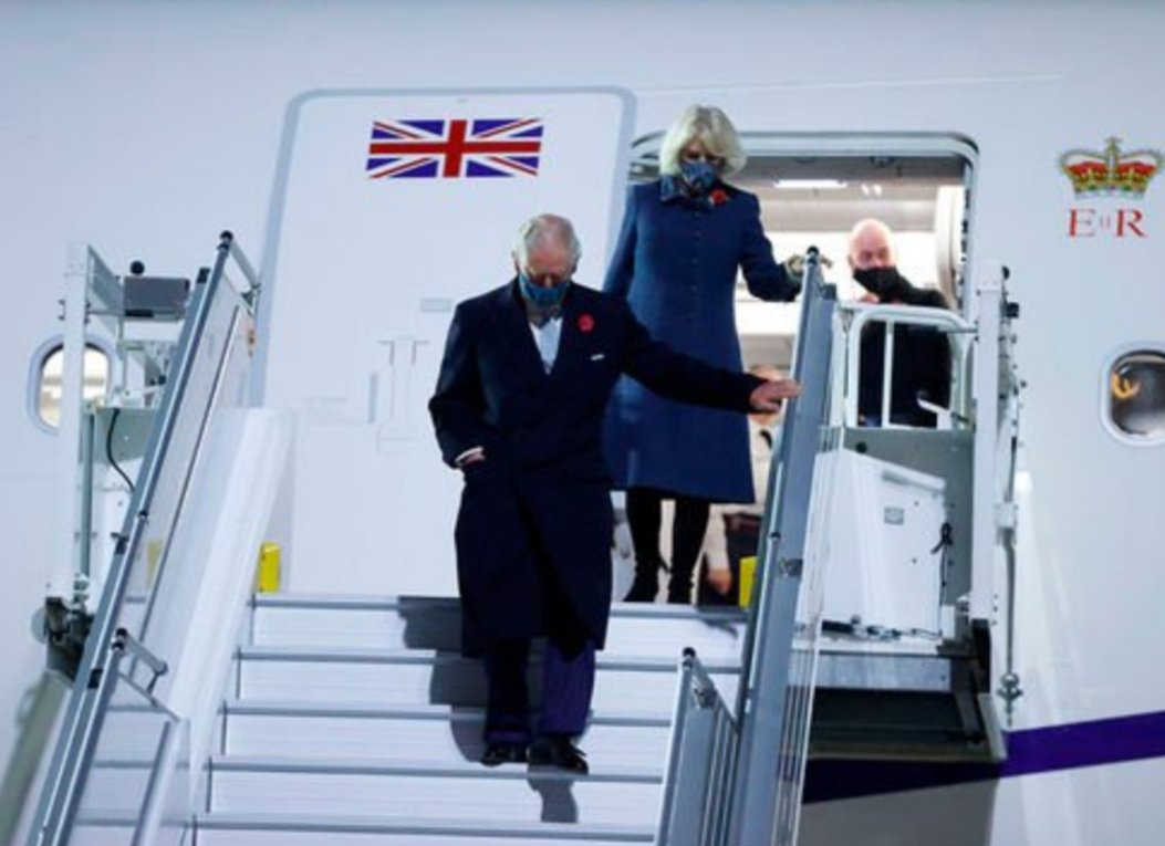 patricia🌿 tweet media