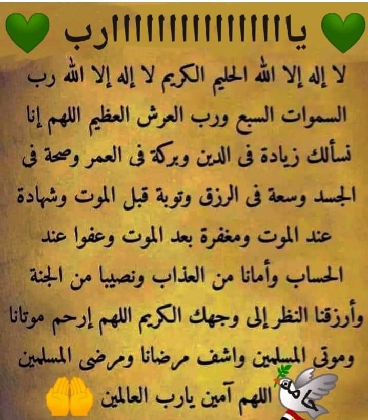 امين يارب العالمين 🤲🤲🤲