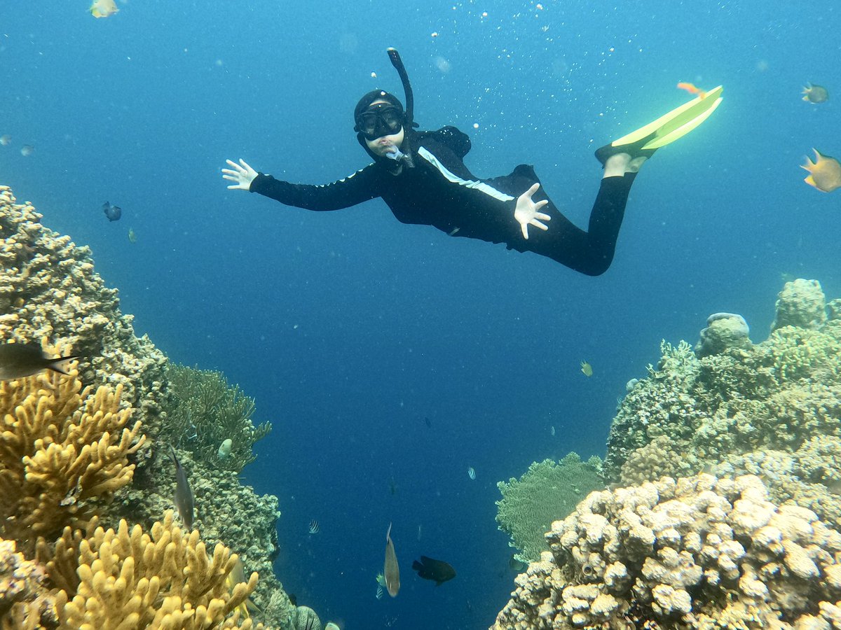 Linayulianti26's tweet photo. Dive right into you https://t.co/QhbnbKjlY4
