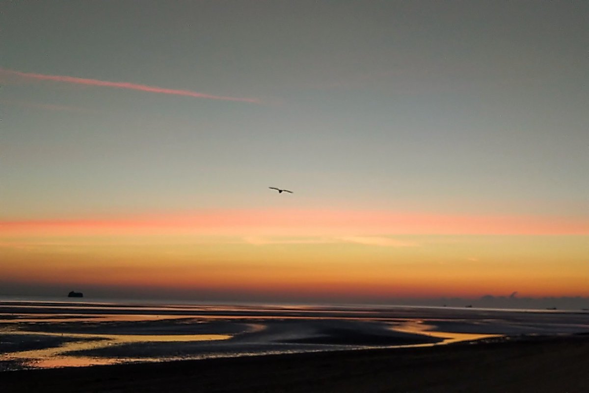 RydeAbide's tweet photo. Morning Campers #IsleLoveWight #Delight https://t.co/30rio6LVM0
