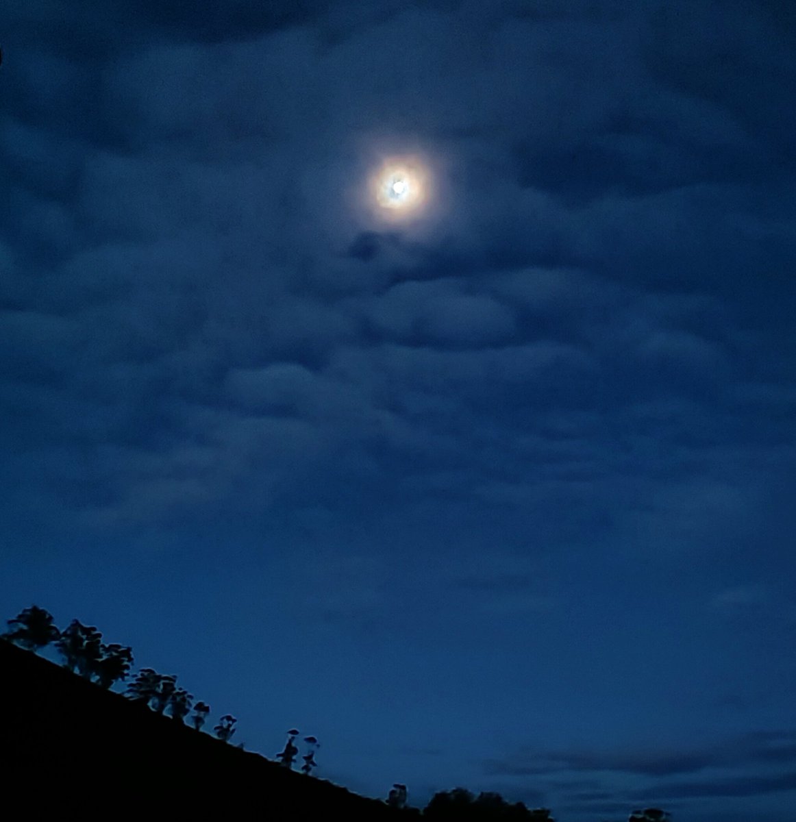teidagua's tweet photo. 🙄

"Azul oscuro, casi luna".

#Tacoronte
🤗 ¡Muy #FelizLunes! https://t.co/9VBtYbqCav
