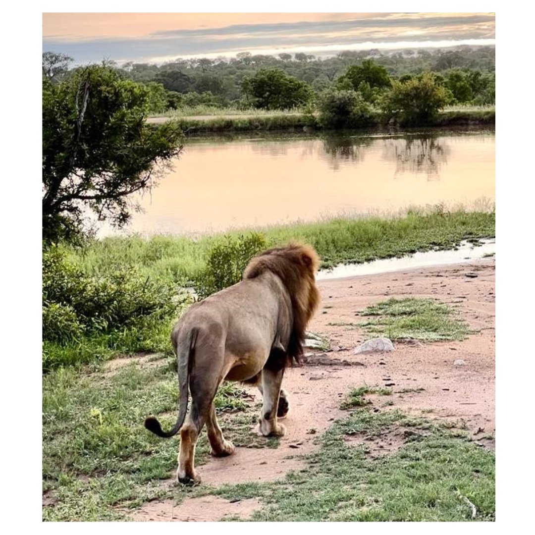 BridgeStreetCapital tweet media