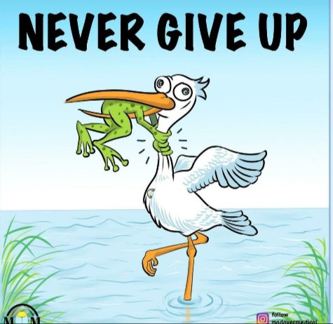 Topmotivation16's tweet photo. Never Give up be committed
You can do everything ♥️😎💪🔥💯
#RihannaSuperBowl #FentyBowl #Rihanna #SuperBowlLVII #BiggBoss16Finale #BiggBoss16Finale #Motivation #motivational https://t.co/LPg8PkluCg