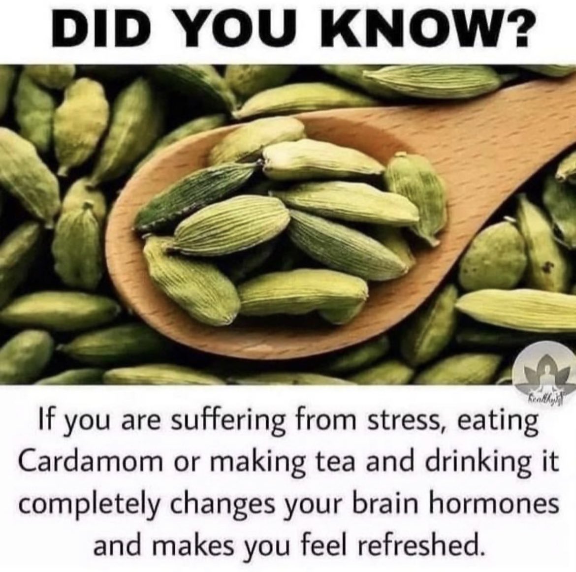 📢📢📢
