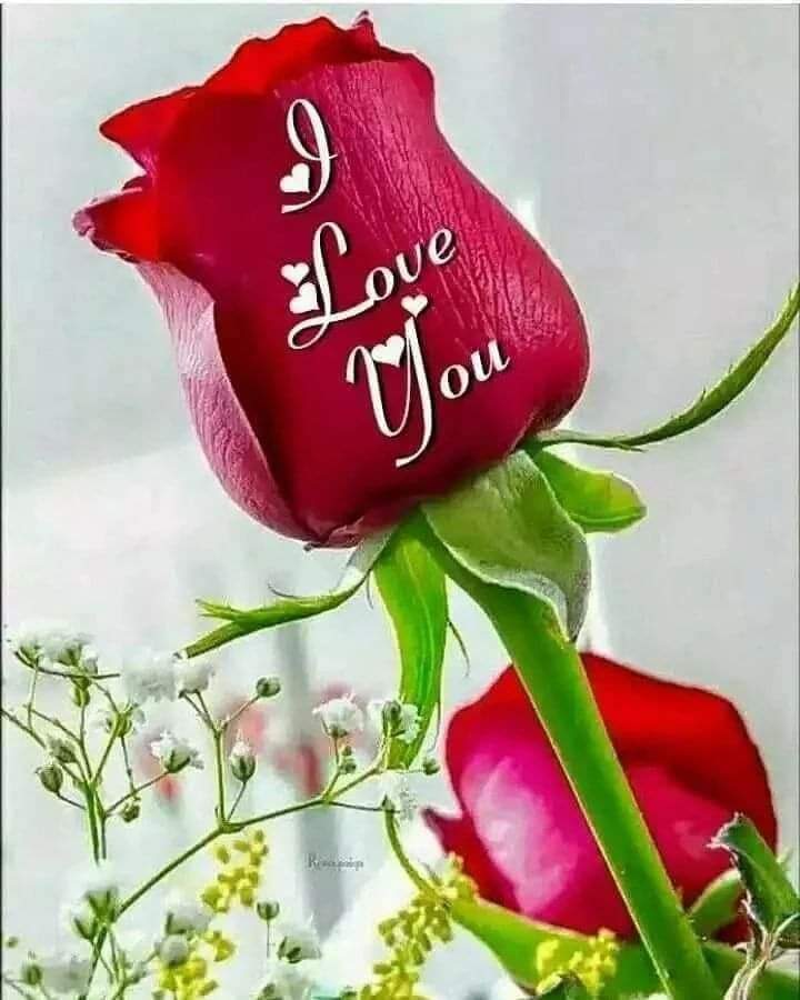 LEONARD51128278's tweet photo. @Nisha01194 I promise I'll marry you https://t.co/4jjRfFpmVV