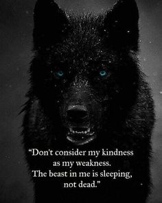 Aa_ban1's tweet image. #TeamWolFPack 🐺
#TmLegend 🛡️
✰✭ @NiteWolF_1
@Hapalochlaena2
@botagain
@MarthaCandia21 ✰✭
@WolFPack1_
@MARTHA_CAN2
@Jemaco40
✰✭ @KalouYalewa
@KIACHIARA1 
@ALESXIA_1
@JIMENAC__
@TOP_ANAHI
@Aa_ban1 ✰✭
@Zar_43
✰✭ @yelarvel
@PendasRobert
@MarianLuque4
✰✭✰✭✰✭✰✭✰✭✰