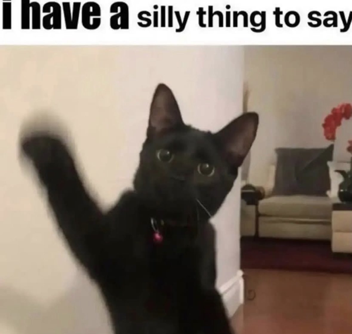 he has a silly thing to say