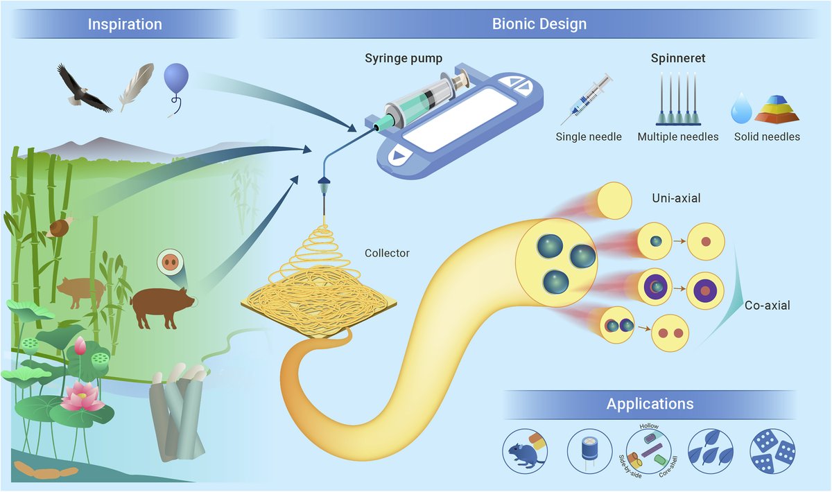 The Innovation: a Cell Press partner journal (@the_innovationj) on Twitter photo "Studying spinneret designs based on natural objects has been an effective design method for preparing advanced fiber #materials that meet real-world demands...". Read more about bionic design of the electrospinning spinneret <a href="/The_InnovationJ/">The Innovation: a Cell Press partner journal</a>
doi.org/10.1016/j.xinn…
#technology "Studying spinneret designs based on natural objects has been an effective design method for preparing advanced fiber #materials that meet real-world demands...". Read more about bionic design of the electrospinning spinneret <a href="/The_InnovationJ/">The Innovation: a Cell Press partner journal</a>
doi.org/10.1016/j.xinn…
#technology
