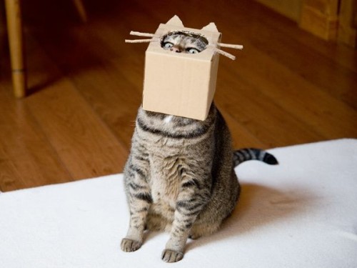 weirdlilguys's tweet image. 