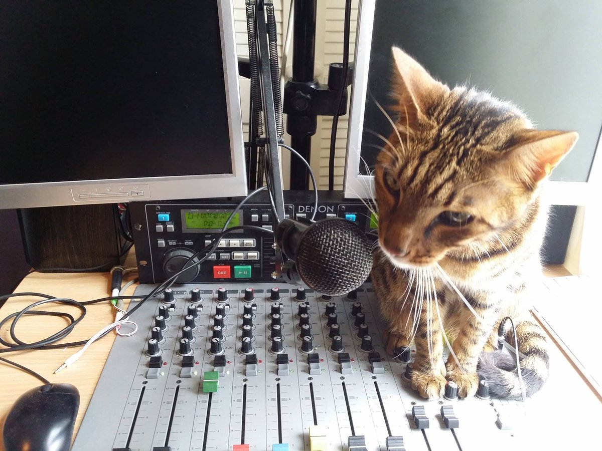 cat FM