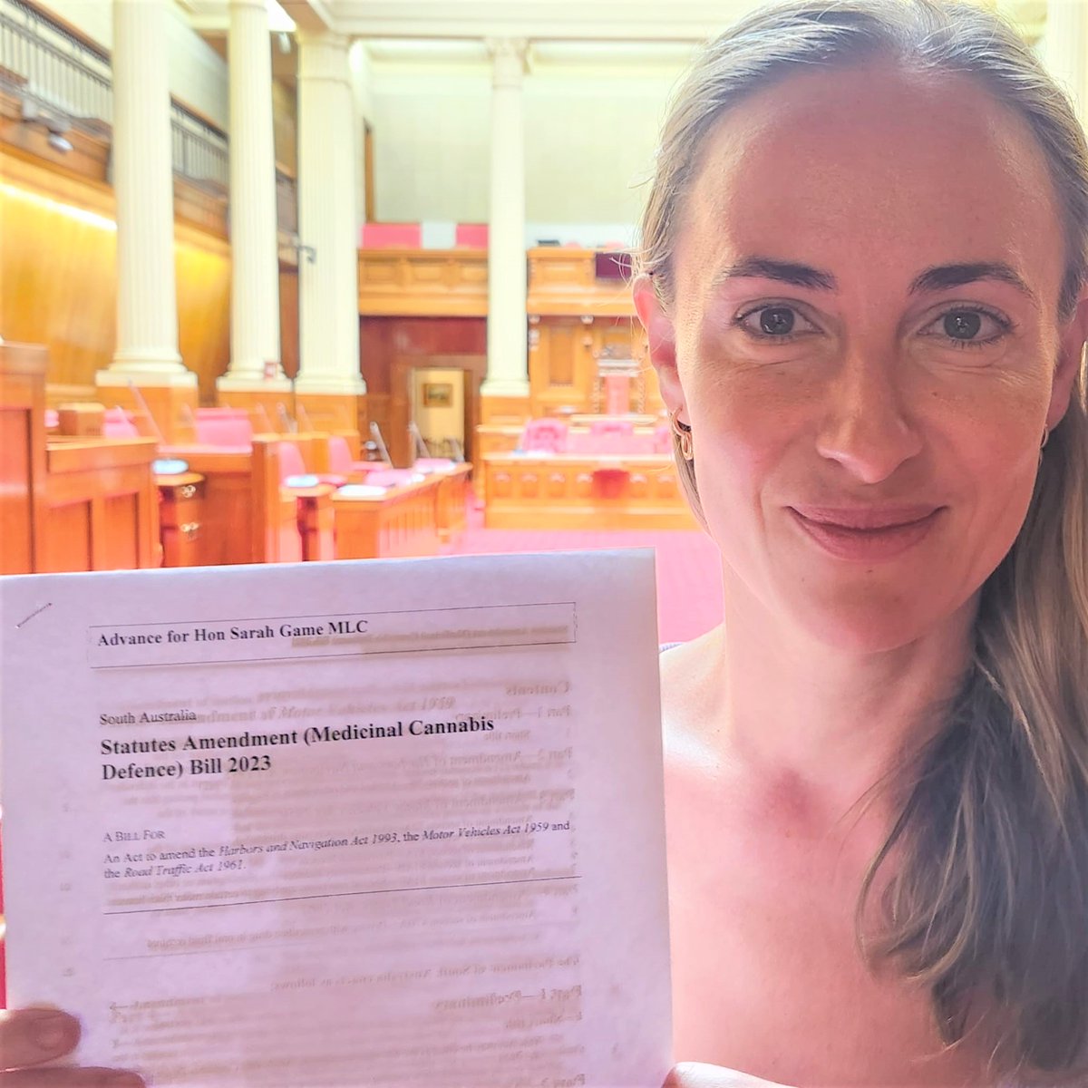 MLCGame's tweet image. Next week I will be tabling my Medicinal Cannabis Defence Bill - similar to laws passed in Tasmania.

Provided the driver has a valid doctor's prescription, is not involved in dangerous/reckless driving, &amp;amp; impairment cannot be established, my Bill offers a complete defence. [1/2]