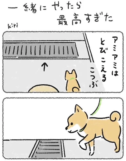 犬のアミアミジャンプを一緒にやったら連帯感UPで幸せ#豆しばこつぶ 