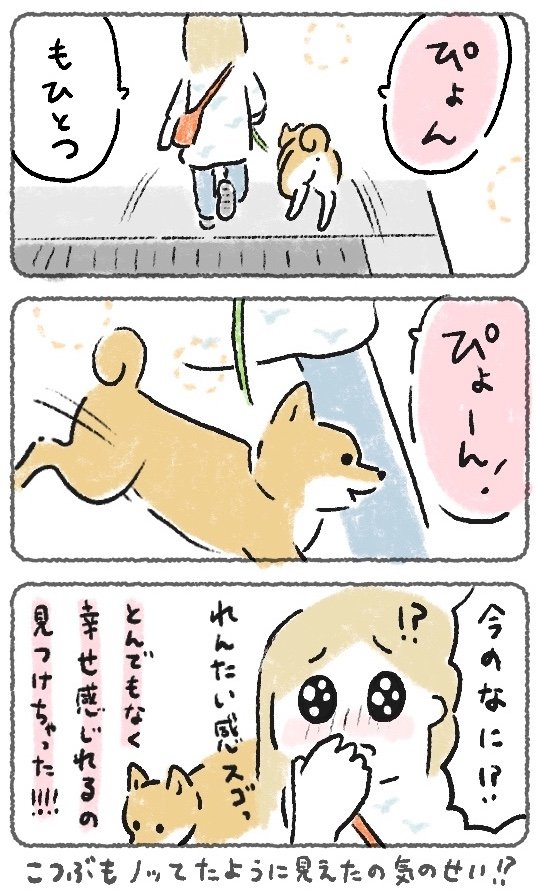 犬のアミアミジャンプを一緒にやったら連帯感UPで幸せ
#豆しばこつぶ 