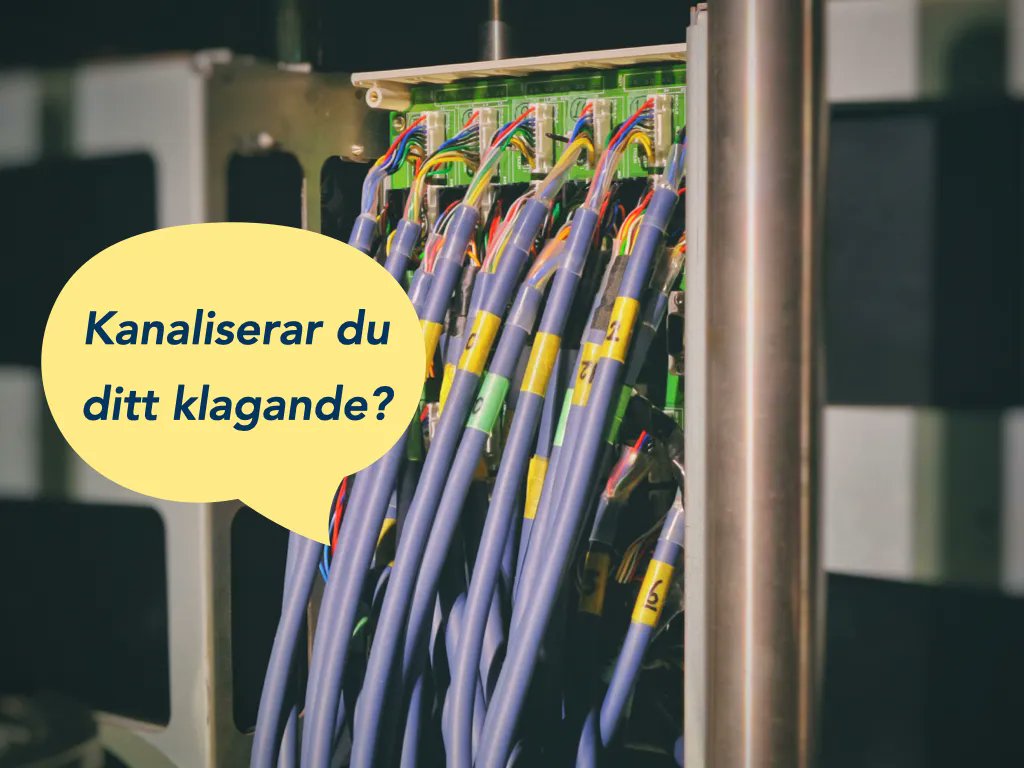 Organisationsforskaren Kyle Brykman fann i sin studie att huruvida arbetslaget uppmuntras att säga sin mening och utmana "status quo" är kopplat till gruppens förmåga att klara av en förändring. Läs mer i veckans träningstips!

habitud.se/kanaliseraklag