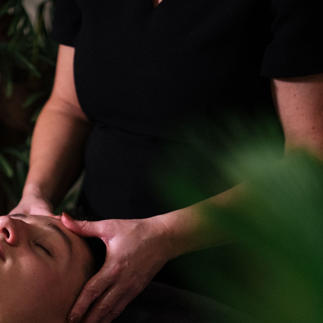 Adventure Parc Snowdonia tweet media