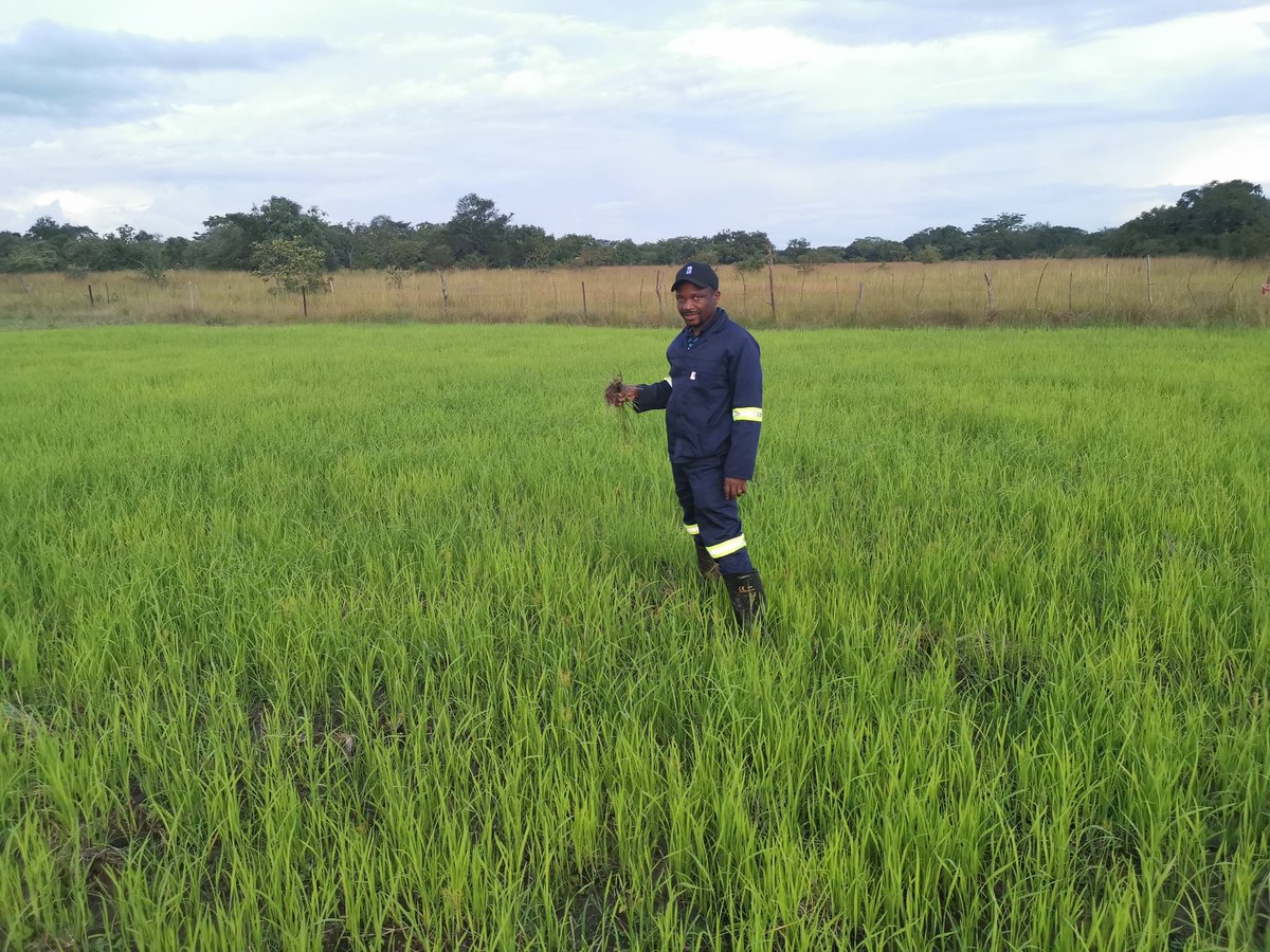 Pres1982's tweet photo. Me and the farmer in me. Playing a positive role in improving food supply chain. https://t.co/fOpVOODufk