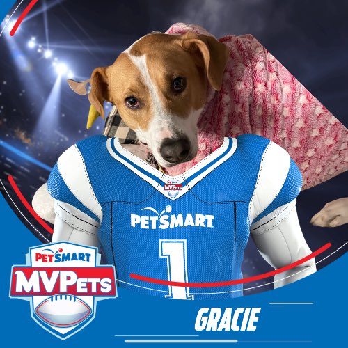 Just some fun with #Petsmart #MVPets #AnythingForPets