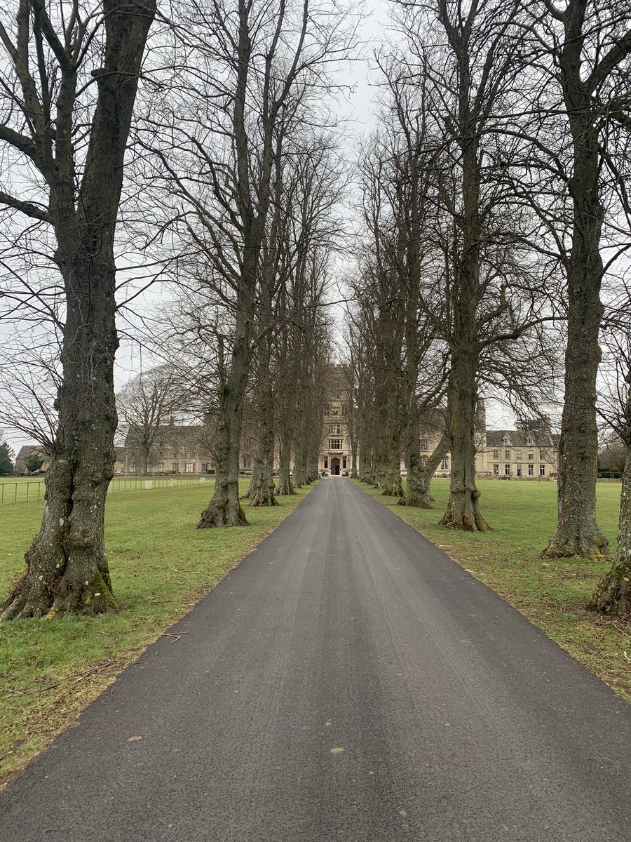 Kelly Harvey tweet media