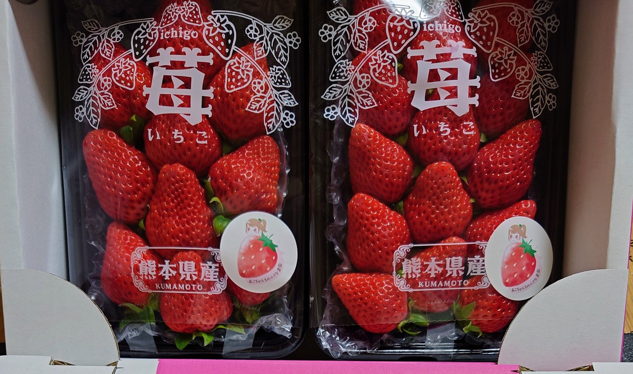 こゆき◡̈*❤︎さまご購入品 プラスチック鉢 いちごパフェＡB C D おまとめ4点 こゆき◡̈*❤︎さまご購入品 プラスチック鉢 いちごパフェAB C D お