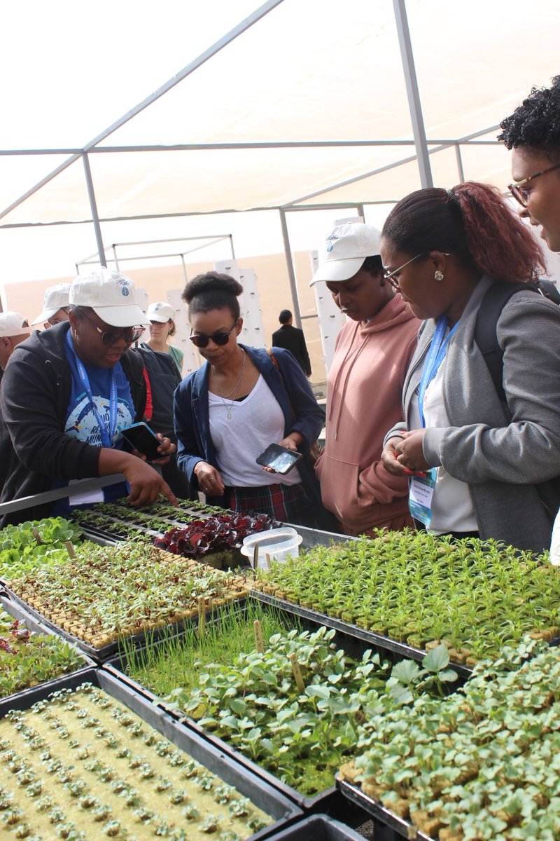 FAOCaboVerde's tweet image. 2nd #WASAG International Forum on #WaterScarcity in agriculture 

Field trip: Knowing the reality of 🇨🇻, new experiences &amp;amp; solutions.

As @MariaLenasemedo, FAO DDG, says &quot;🇨🇻 is the capital of water🫧 scarcity in agriculture.&quot;

#Building #resilience

ow.ly/OKt950MK0qe