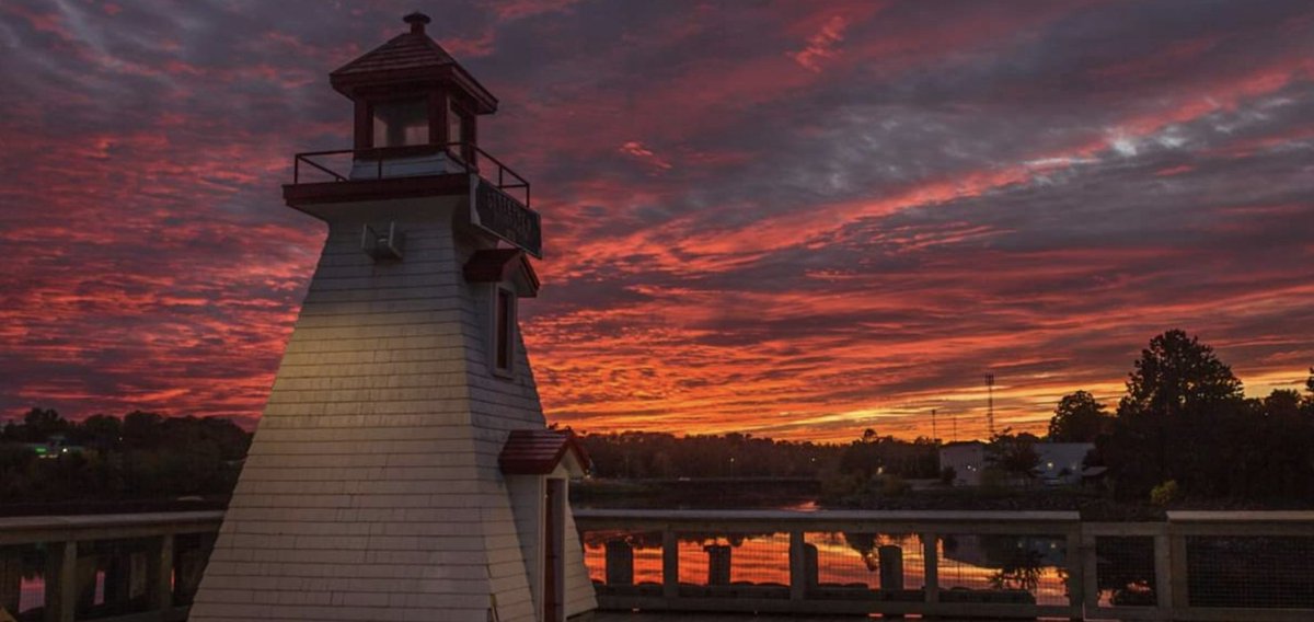 CEO-OF-BTC-ETH-Marco 🇨🇦 tweet media