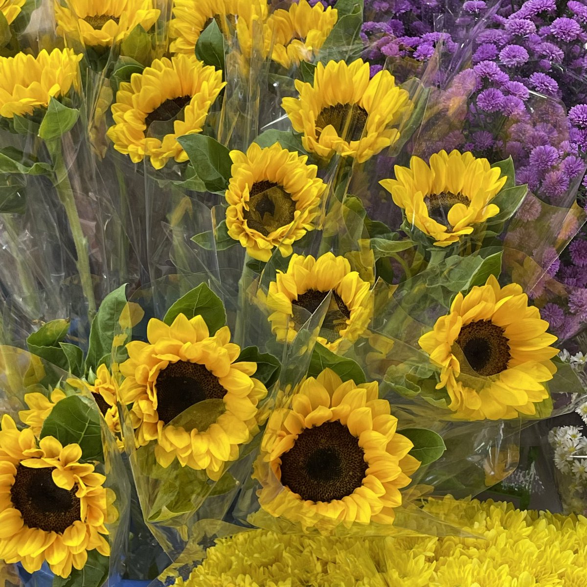 เธรดความน่ารักของปากคลองตลาด 🌷🫧