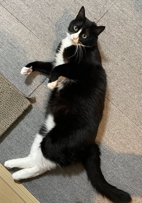 今日のですお納めください 