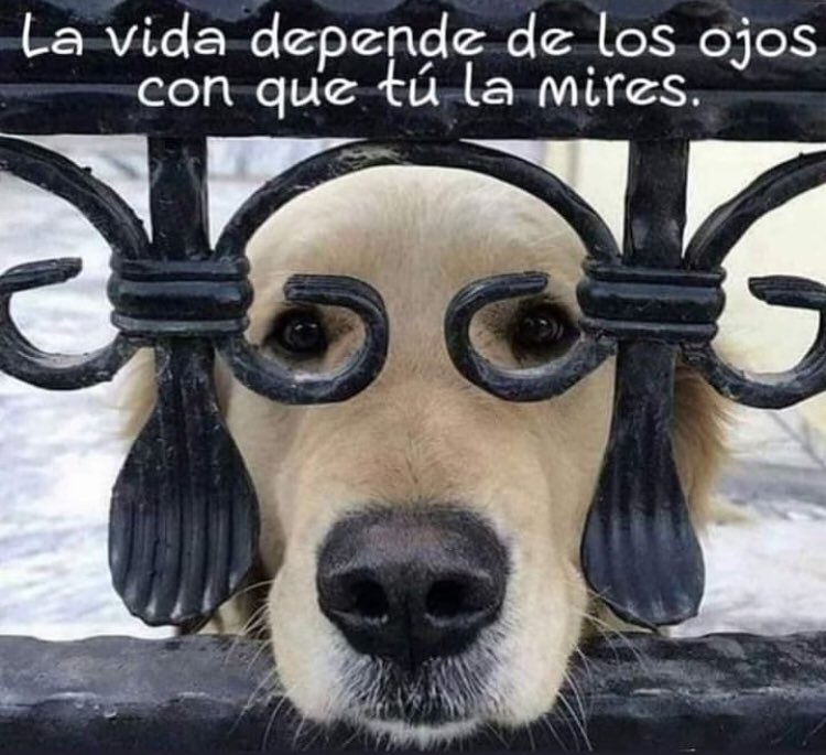 Tantas formas de ver la vida... Pero un solo corazón ♥️ #FelizLunesATodos