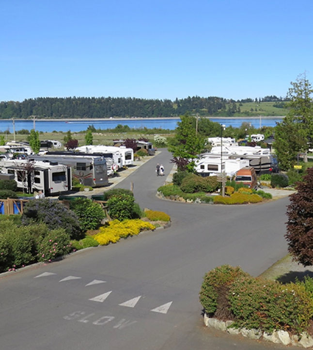 CSnowbirds's tweet photo. Want your stay at RVs for a long time? Know more about Year Round #Campgrounds online at Canada Snowbirds.

Discover latest information on US Cross Border, RV lots for Sale, etc. only here. https://t.co/nmxPUxuUGx #SnowbirdCampground #CanadaSnowbirds https://t.co/HZGK01win4