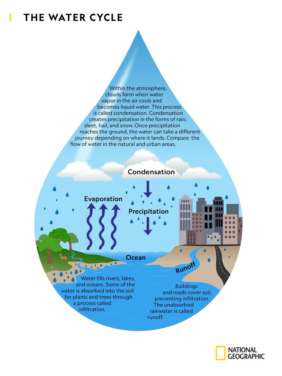 A fantastic water cycle infographic by @NatGeo showing the different stages of the water cycle. Use this infographic to see how all the steps in the water cycle correlate to one another. ... ow.ly/Tb4c50Lgftc #WaterCycle #geographyteacher #geography #resources