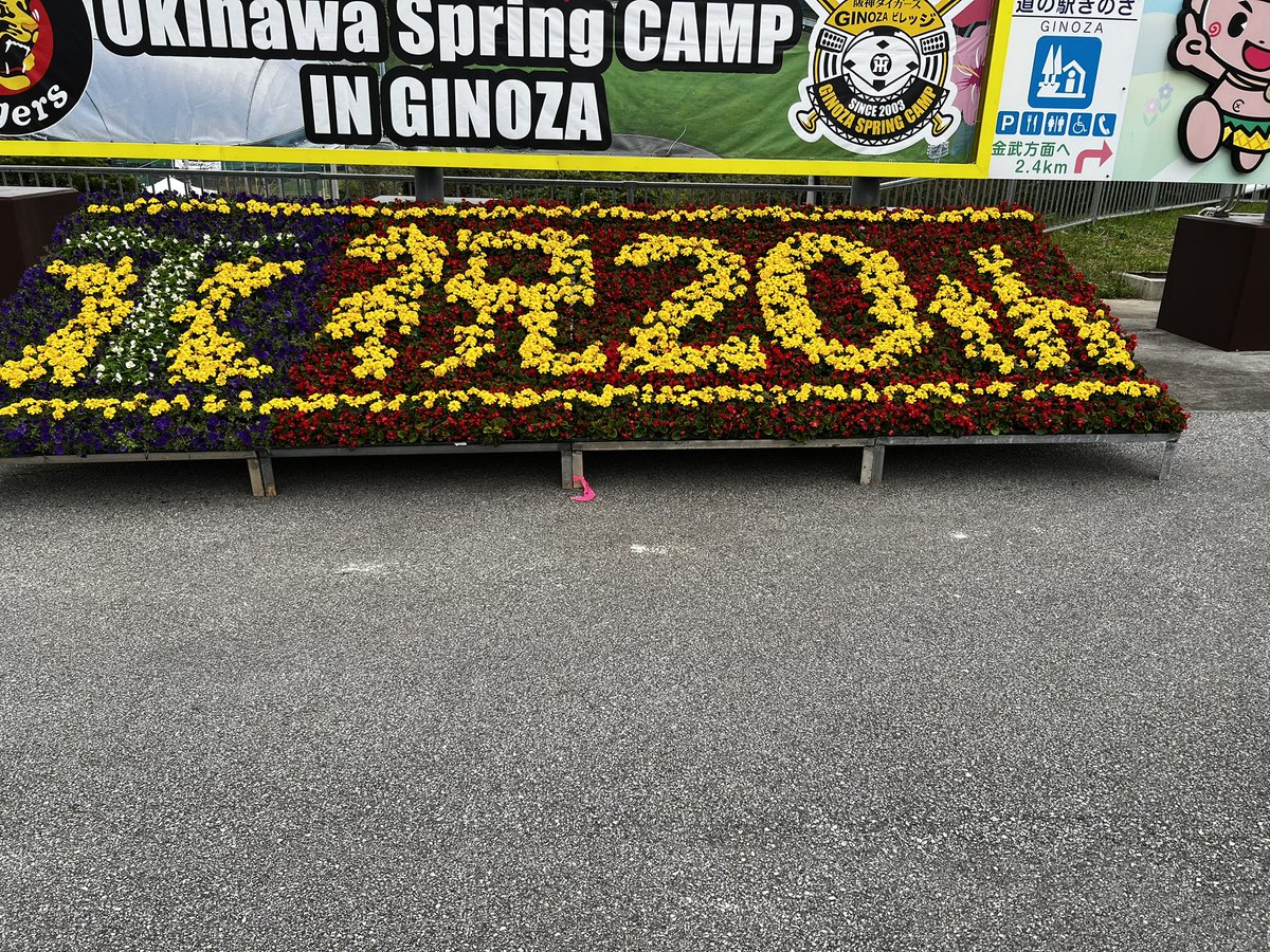 3025356's tweet photo. 昨日はキャンプに見に行き紅白戦を見れて良かった(*^_^*)

 #阪神タイガース
 #Twitter上にいる阪神ファン全員と繋がるのが密かな夢だったりするのでとりあえずこれを見た阪神ファンはRTいいねしていただけると全力でフォローしに行きます https://t.co/Ljwgm1xYql