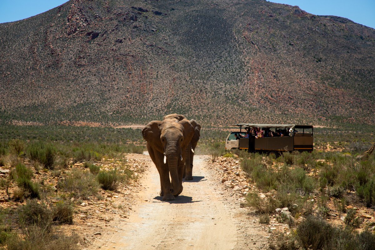 IELAWORLD's tweet image. A big THANK YOU to R .E. Rogers India for the unforgettable memories of the #IELAWS23 Day Out at Aquila Reserve. 🙏
A memorable day to conclude our training event! 
📸 iela.org/events/ws23/ev…
#IELAnetwork #IELAfamily #DayOut #networking #exhibitionlogistics #freightforwarder