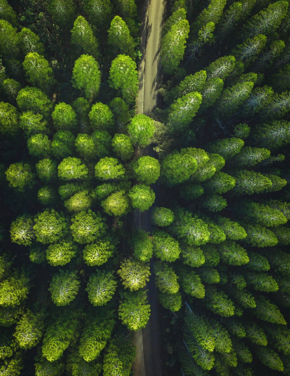 global_factor's tweet photo. Nuevo webinar de Global Factor sobre las novedades CDP en 2023: https://t.co/mZwRNiFAMY
#CambioClimático #ODS13 #ODS17 #AcciónClimática #Webinar #GlobalFactor #CDP https://t.co/f2d3L3Bbwc