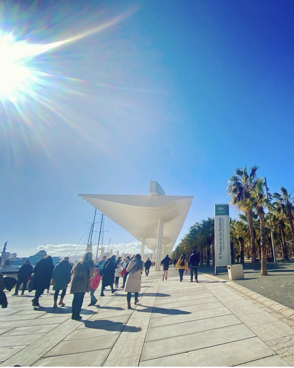 Amir Aly tweet media