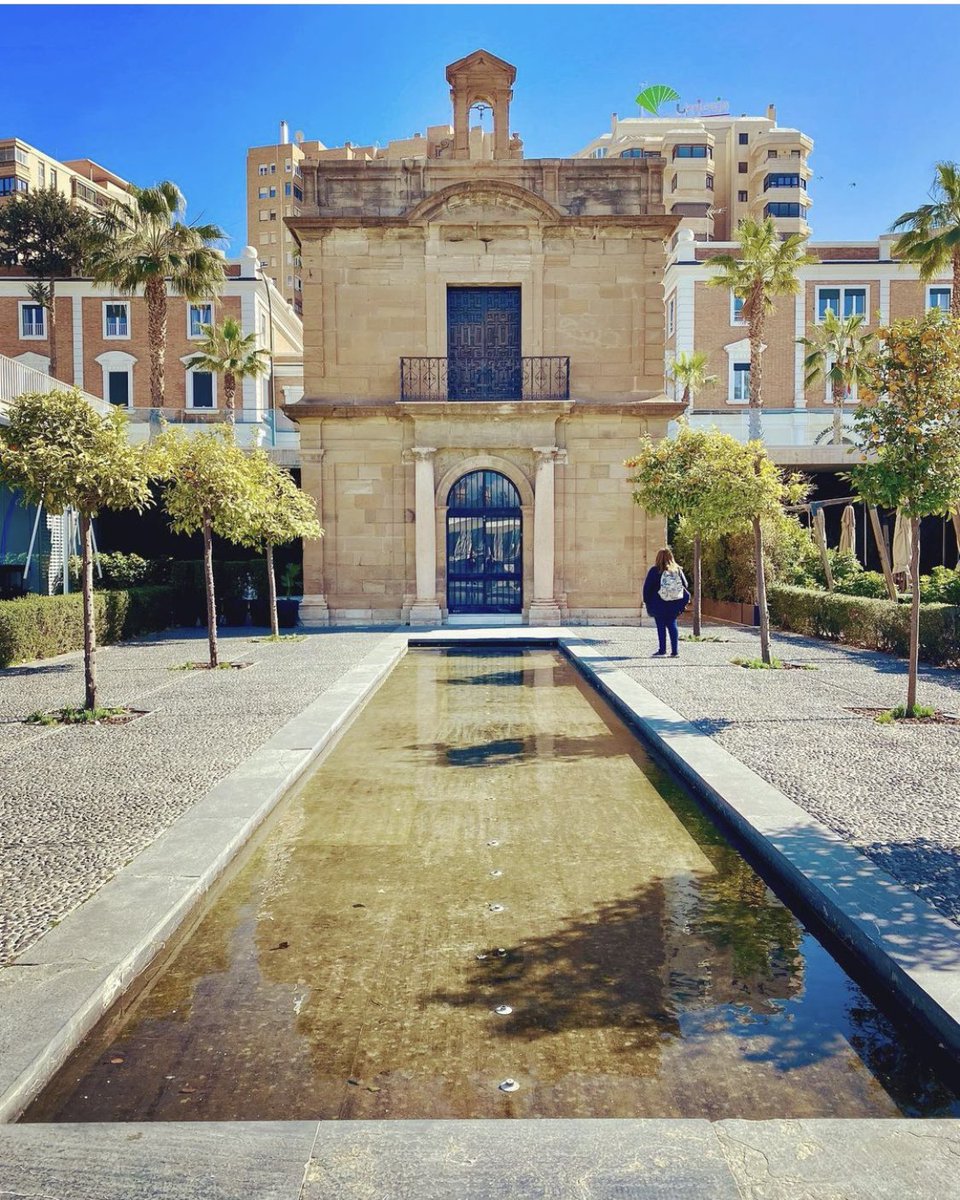 Amir Aly tweet media