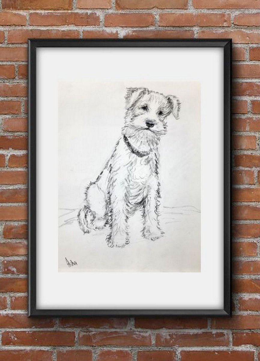 Arty_shen's tweet photo. Wirefox terrier pencil drawing!
https://t.co/mykd7xIXLU
#PetPortrait #dog #art #doglovers #giftideas #pencilsketch #cutedogs #dogportrait #canine #drawing #Terrier #smallbreed #wirefoxterrier #onlinestore #OnlineBusiness #shopping https://t.co/xIlWWQwING