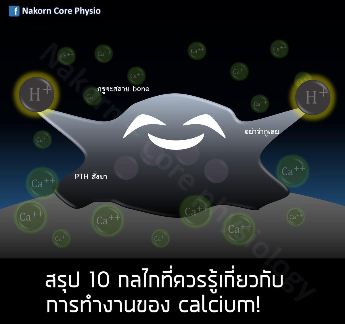 Nakorn-Core Physiology and Medical Science tweet media