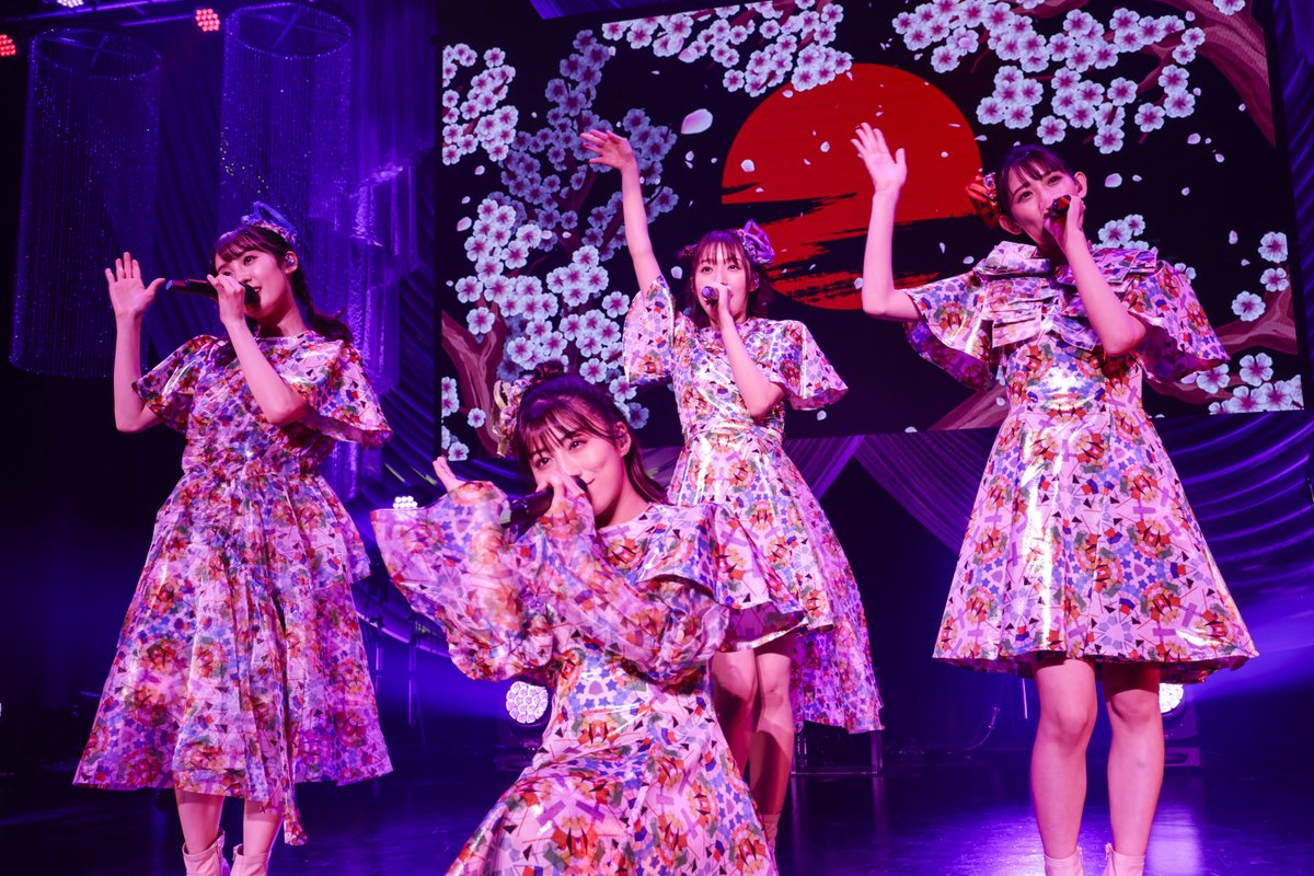 TEAM SHACHI💪 ️💙💜💚 on Twitter "\ 🎊2/25は シャチカーニバル ／ TEAM SHACHI SHACHI