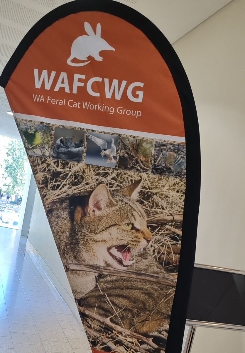 KatyPHCC's tweet photo. The WA Feral Cat Symposium 2023 is about start!  #WAFeralCat23 https://t.co/yXmyOgoNfL