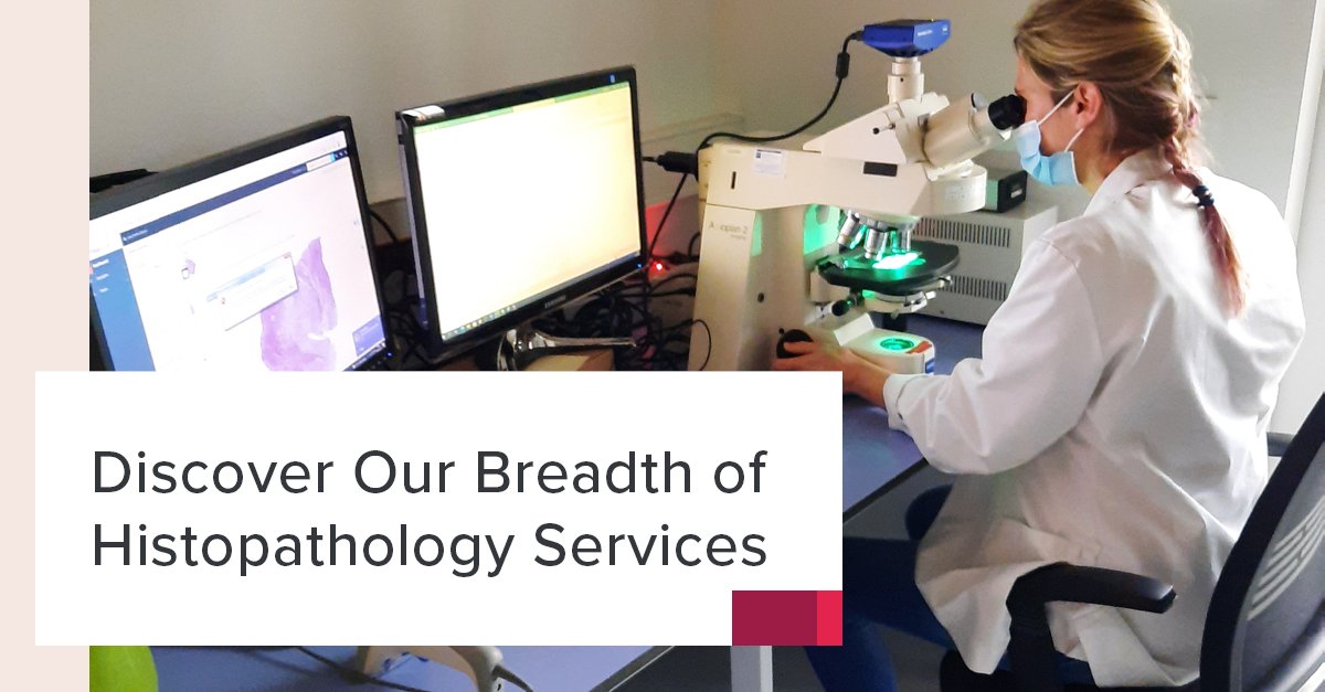 CellCarta's tweet photo. With proficiency in multiple staining platforms, learn how our #histopathology team can support your large-scale studies from discovery to late phase clinical trials!
Read now: https://t.co/KagAhfnfph
#CellCarta #Global #PrecisionMedicine https://t.co/kBjzuVKaCm