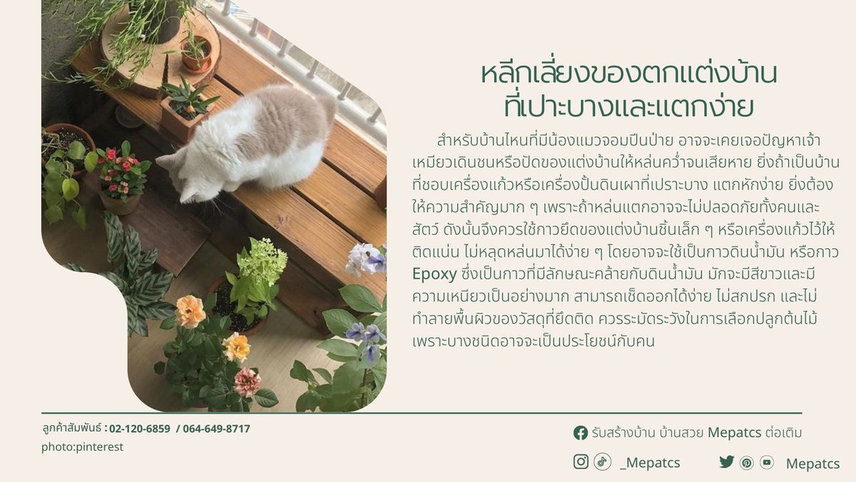 mepatcs's tweet image. ไอเดียแต่งบ้านอย่างไรให้ถูกใจทั้งทาสและเจ้านายสี่ขา #mepatcs #MepatCS
ที่มา:facebook.com/MepatCS
#ไอเดียแต่งบ้าน  #เคล็ดไม่ลับเรื่องบ้าน #สร้างบ้าน #รับเหมาก่อสร้างครบวงจร  #บ้าน #สไตล์มินิมอล #ติดเทรนด์ #งบน้อยก็ปังได้ #รีวิวมุมโปรด  #แต่งบ้านสัตว์เลี้ยง #สัตว์เลี้ยงแสนรัก