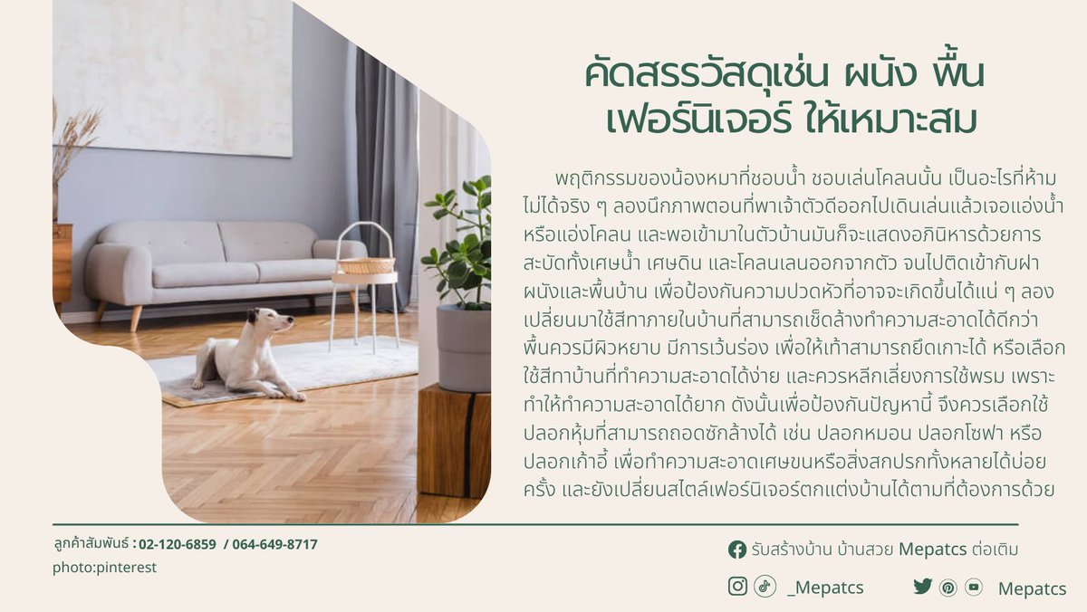 mepatcs's tweet image. ไอเดียแต่งบ้านอย่างไรให้ถูกใจทั้งทาสและเจ้านายสี่ขา #mepatcs #MepatCS
ที่มา:facebook.com/MepatCS
#ไอเดียแต่งบ้าน  #เคล็ดไม่ลับเรื่องบ้าน #สร้างบ้าน #รับเหมาก่อสร้างครบวงจร  #บ้าน #สไตล์มินิมอล #ติดเทรนด์ #งบน้อยก็ปังได้ #รีวิวมุมโปรด  #แต่งบ้านสัตว์เลี้ยง #สัตว์เลี้ยงแสนรัก