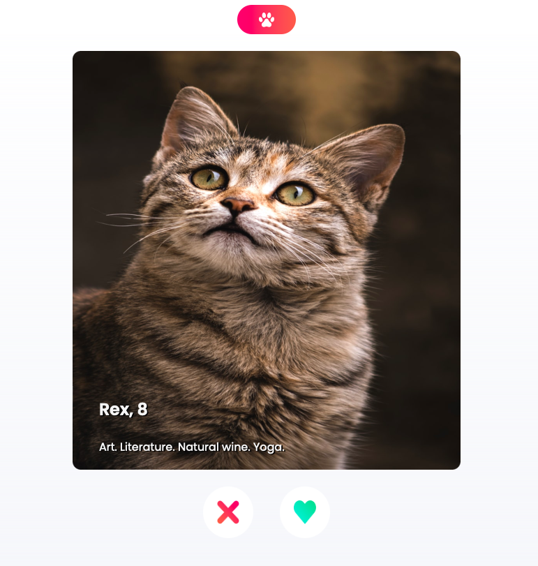 Matthew_Codes tweet media