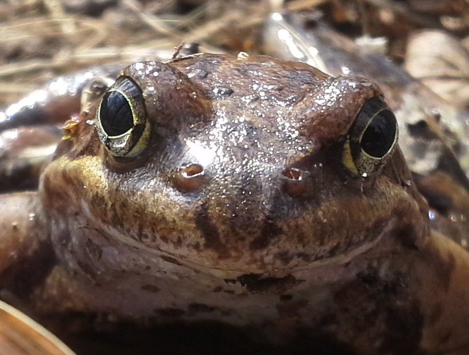 LBS (@lammistation) on Twitter photo Come visit the University of Helsinki's biological stations' stand at the #OikosFin23 conference in Viikki on Tuesday and Wednesday. Looking forward to seeing everyone there and letting you know about the latest from the stations! <a href="/tvarminne/">Tvärminne Zoological Station</a> #KilpisjärviBiologicalStation Come visit the University of Helsinki's biological stations' stand at the #OikosFin23 conference in Viikki on Tuesday and Wednesday. Looking forward to seeing everyone there and letting you know about the latest from the stations! <a href="/tvarminne/">Tvärminne Zoological Station</a> #KilpisjärviBiologicalStation