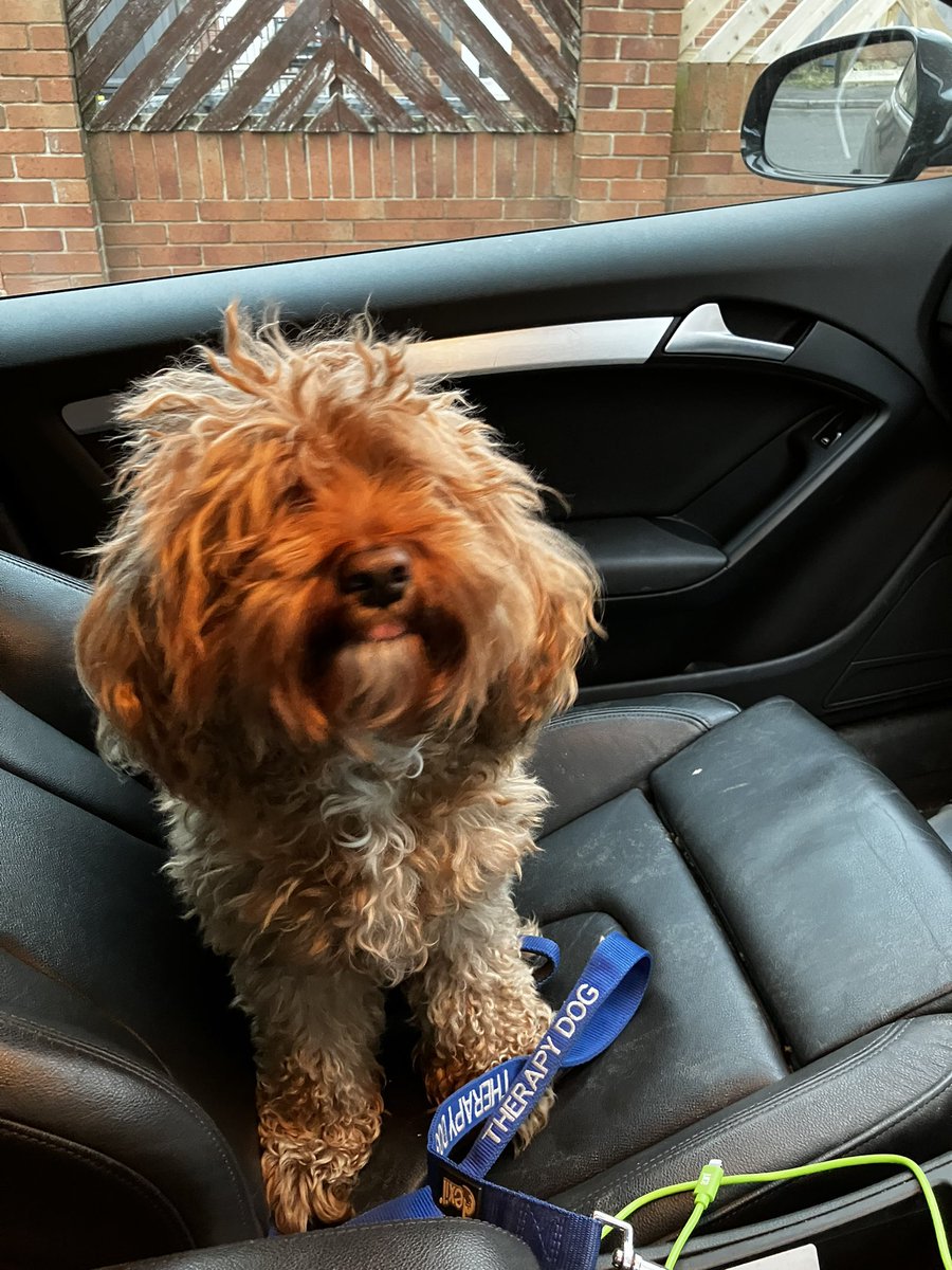 Ready for his first day at work <a href="/HollySpecial/">Holly House Special School</a>