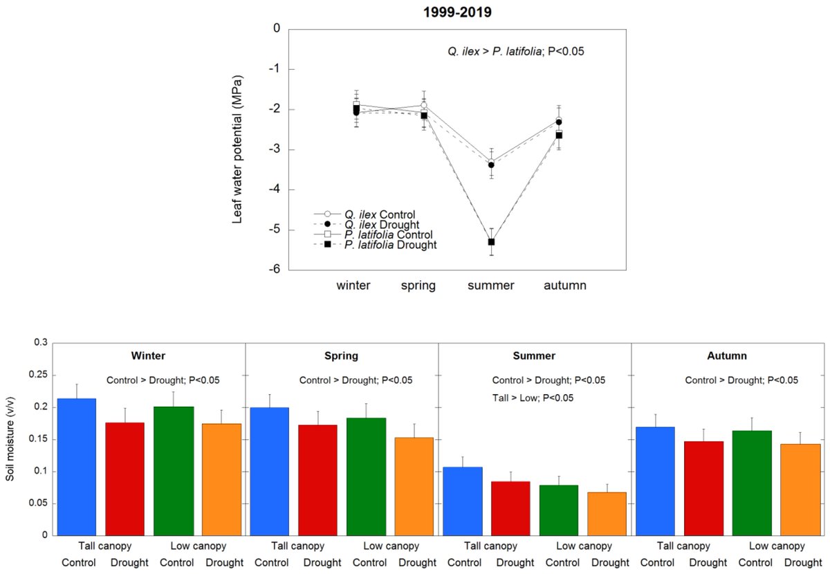 Forests_MDPI's tweet photo. 📖Daily Paper
🌲#ForestsHighlyAccessedPapers
"#ClimateChange Effects in a #MediterraneanForest Following 21 Consecutive Years of Experimental Drought", by Romà Ogaya &amp; @JosepPenuelas. 🎉
📚Read more here👉
https://t.co/6zQ6qw0hMX
📌#basalareaincrement #forestdieback #stem #water https://t.co/9dpxqUmUA6