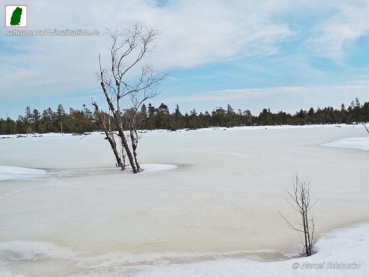 schmurku's tweet photo. Wildsee, Kaltenbronn #germany #blackforest #blackforestgermany #blackforestgraphers #visitgermany #visitblackforest #visitbawu #visitbadenwürtemberg #bwjetzt #meinbw  #landschaftsfotografie #badenwürttemberg #germannature #schwarzwaldinbilder #schwarzwald_in_bilder https://t.co/IxdaE8J8t7