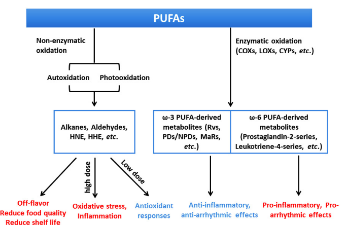 EditorAFTNSOJ's tweet photo. "Oxidation of Polyunsaturated Fatty Acids and its Impact on Food Quality.." by Ling Tao, PhD [ISSN 2377-8350].

Read the entire article here: https://t.co/9sPintUIp8

For manuscript submission click here: https://t.co/LTmHsFSLsL

#openventio #OpenAccess #Oxidation #foodquality https://t.co/boQU31Esnv