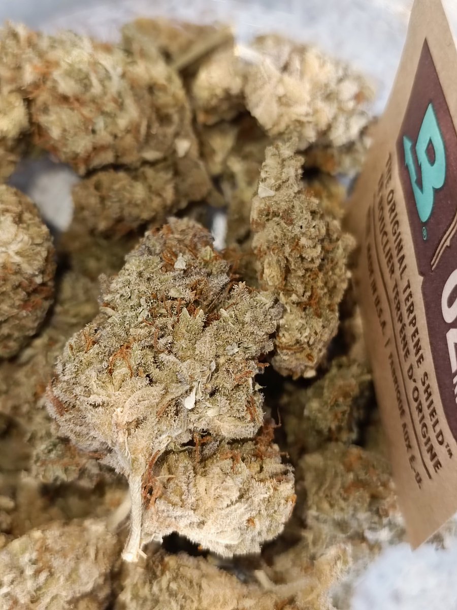 Kanchuayhuaka_'s tweet photo. Exotic 🌹( indica )
- Bubble kush กัญชาสำห��ับบรรเลงเพลงรัก ไวต่อความรู้สึก เสียว ผ่อนคลาย ทำให้ร่างกายของคุณละลายอย่างมีความสุข
เเนะนำให้ใช้สำหรับสันทนาการกับคนรัก
400/G. 2G. ขึ้นไป เหลือ 350 ต้องลอง 
ทักไลน์เเอดได้เลยน้า 🙏
#fwb #fwbกทม #fwbรังสิต
#กัญชารังสิต #กัญชา #exotic https://t.co/24h64dLlFV